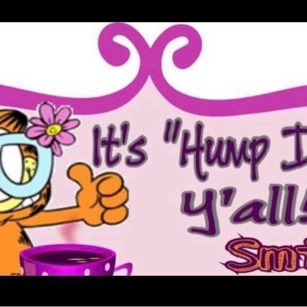 Garfield Hump Day Mug with Purple Accents
